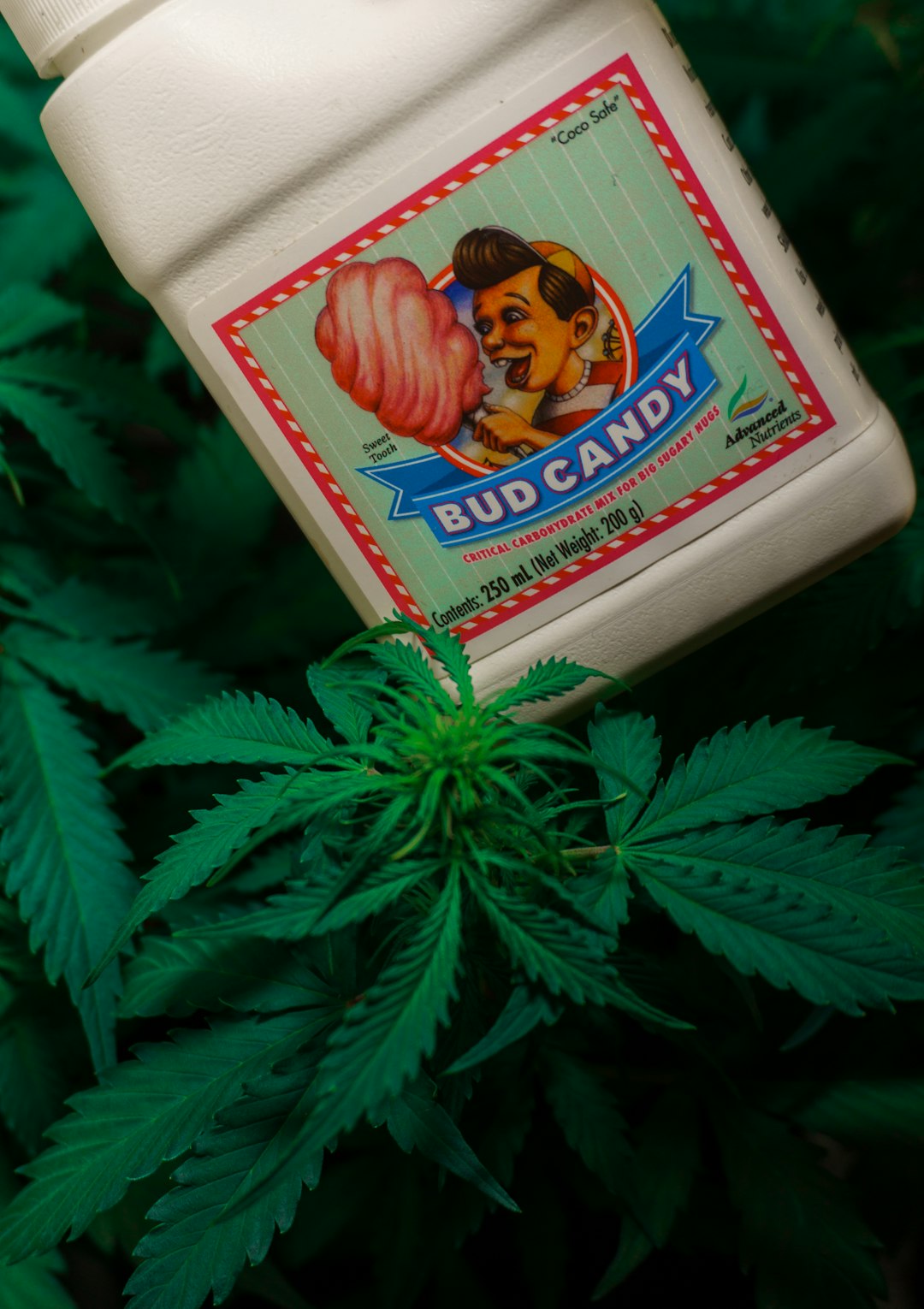 Similar Incidents Reported Globally (image credits: unsplash)