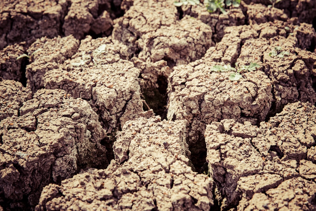 Climate Change and Crop Yields (image credits: unsplash)