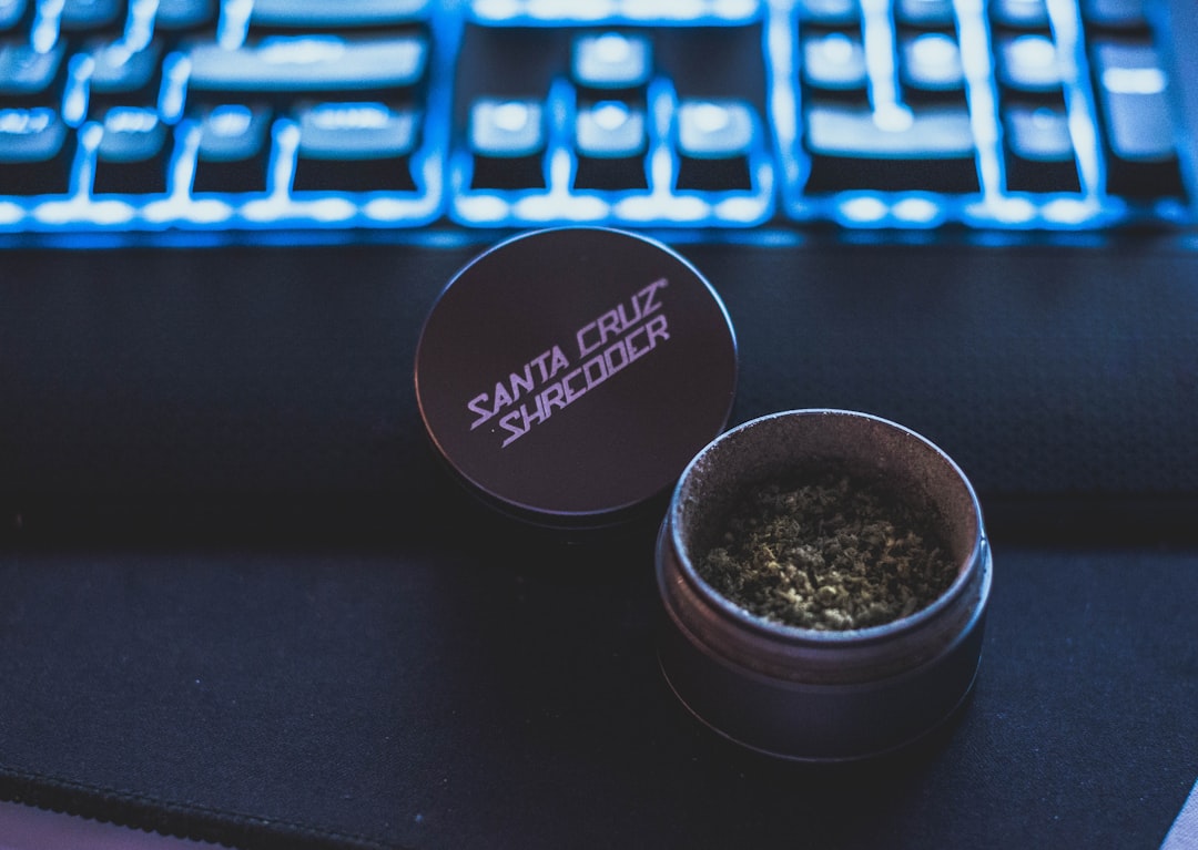 The Future: Tech Meets Tradition in Spice Collecting (image credits: unsplash)