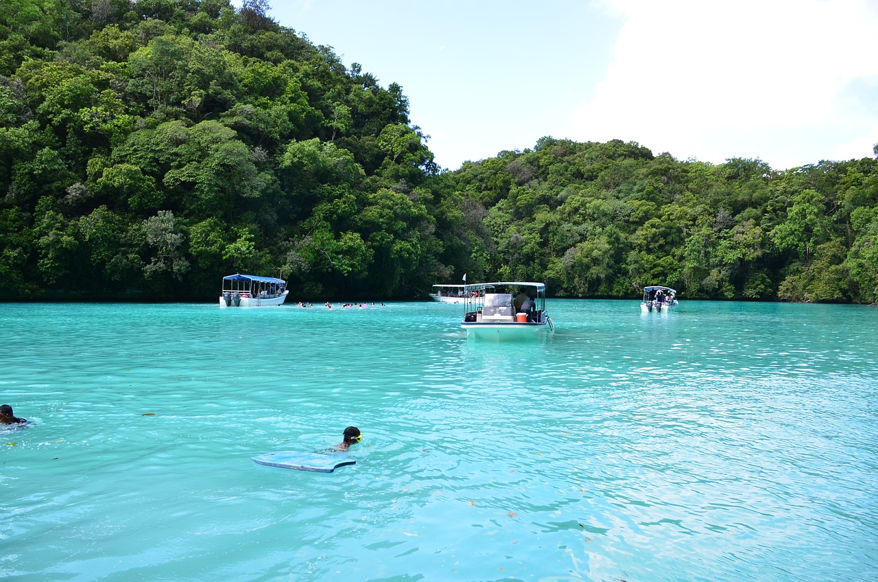 Micronesia: The Final Piece of the Pacific Puzzle (image credits: pixabay)