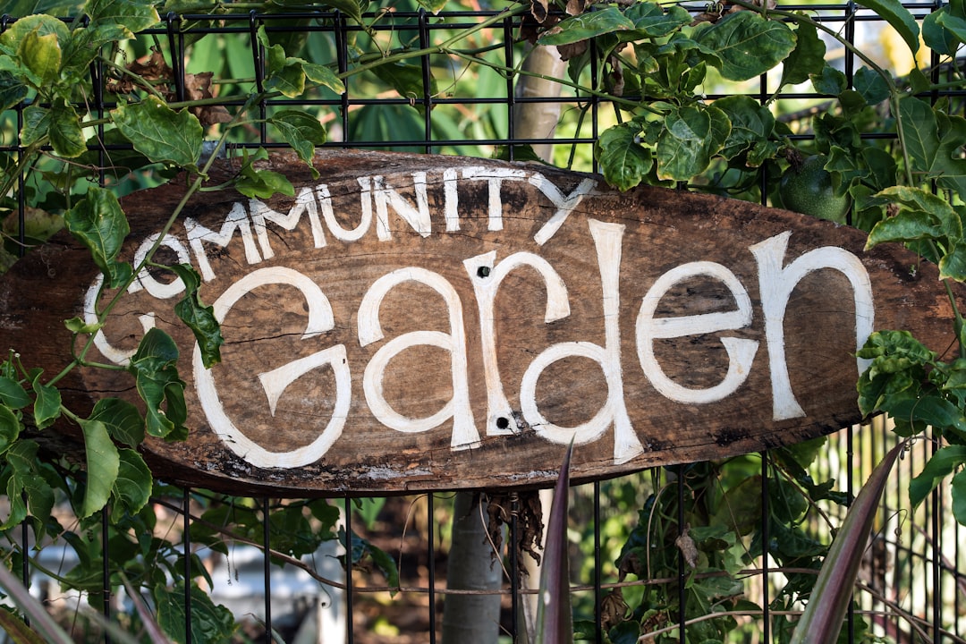 Co-Op Gardening (image credits: unsplash)