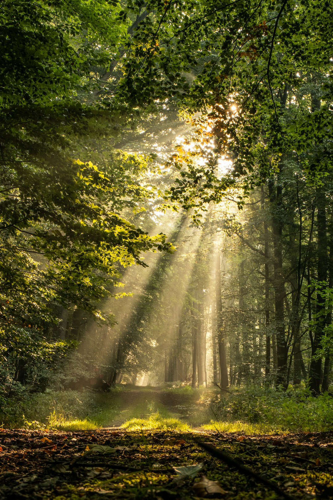 5. Frequent Infections: Could You Be Lacking Vitamin D? (image credits: unsplash)