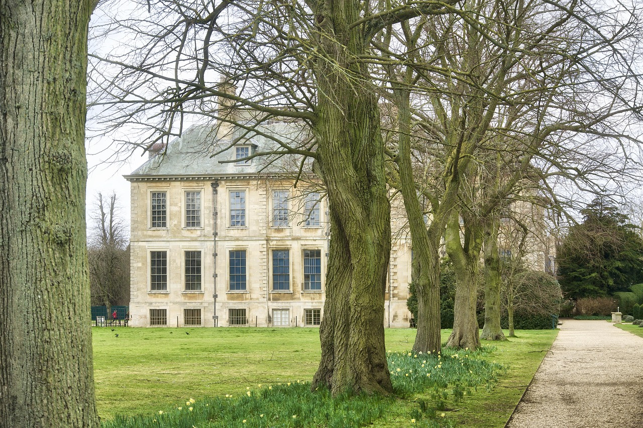 The Role of Gardens in Elizabethan Society (image credits: pixabay)