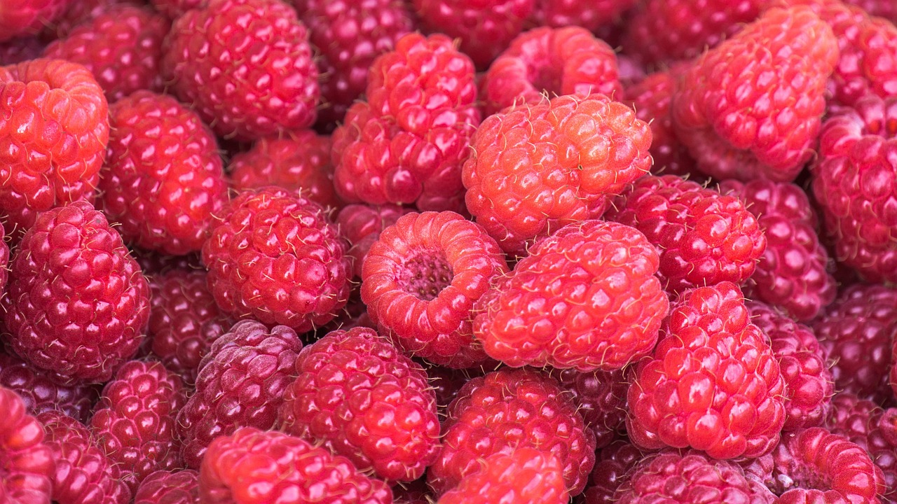Nature's Sweet Antioxidant Bombs (image credits: pixabay)