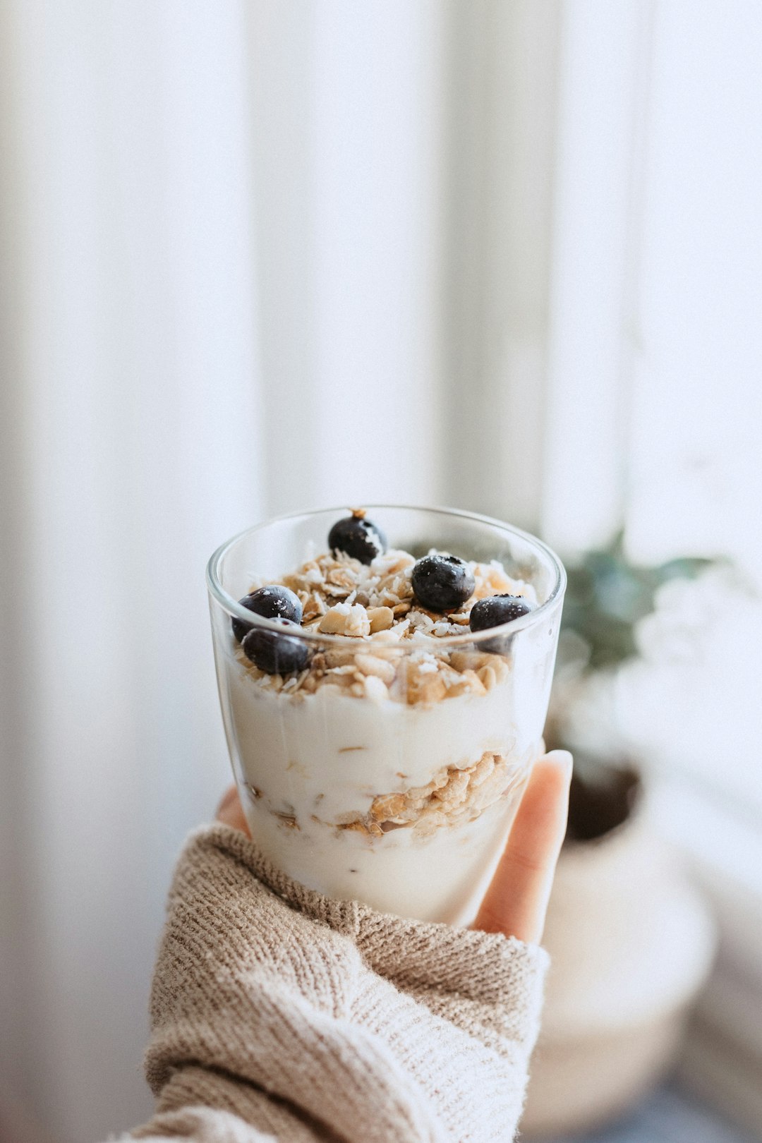 Probiotics (image credits: unsplash)