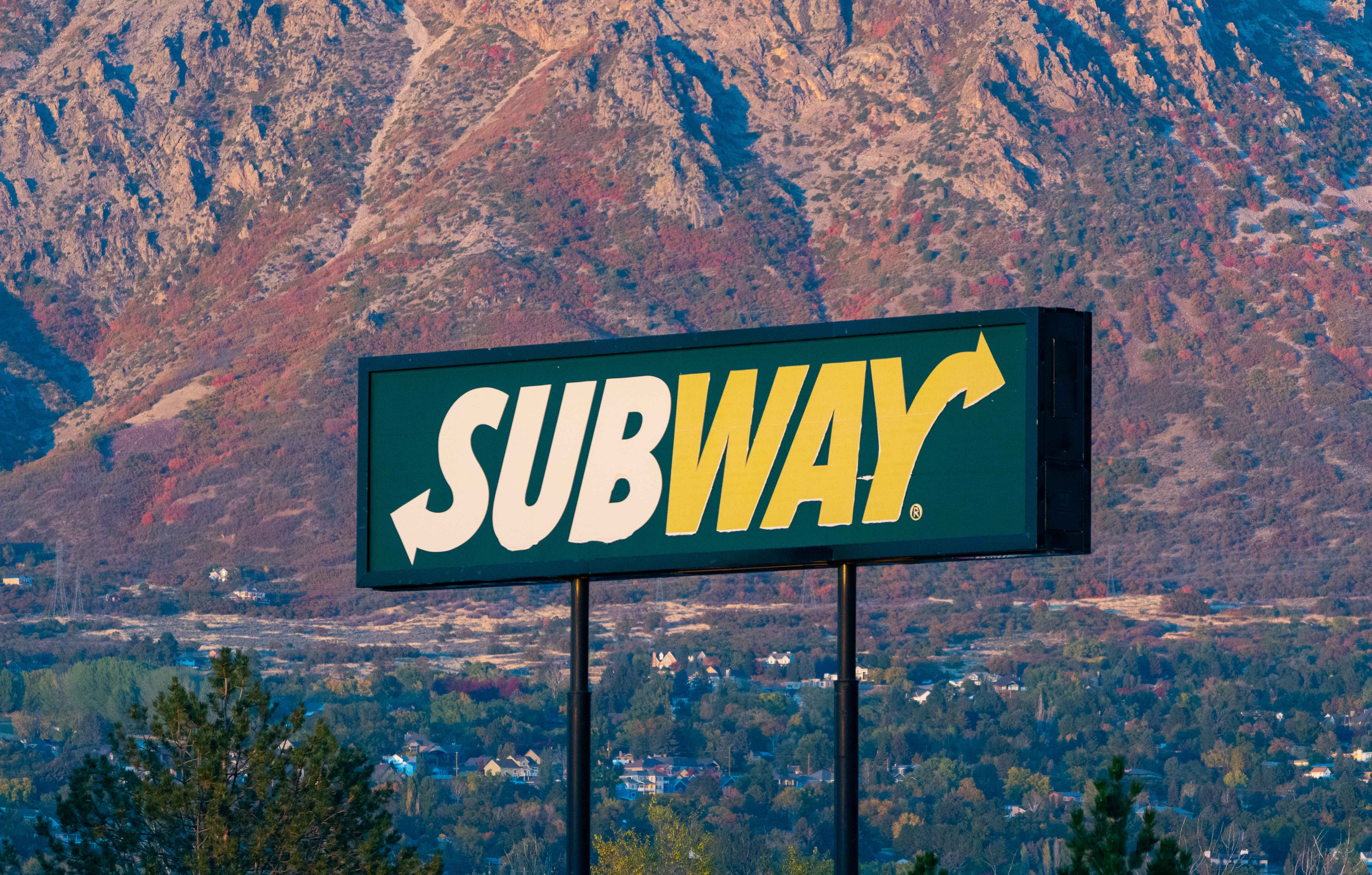 Subway: The Customization King for Sandwich Fans (image credits: wikimedia)
