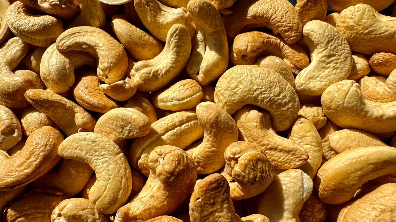 Bone Health and Mineral Support (Image Credits: Pixabay)