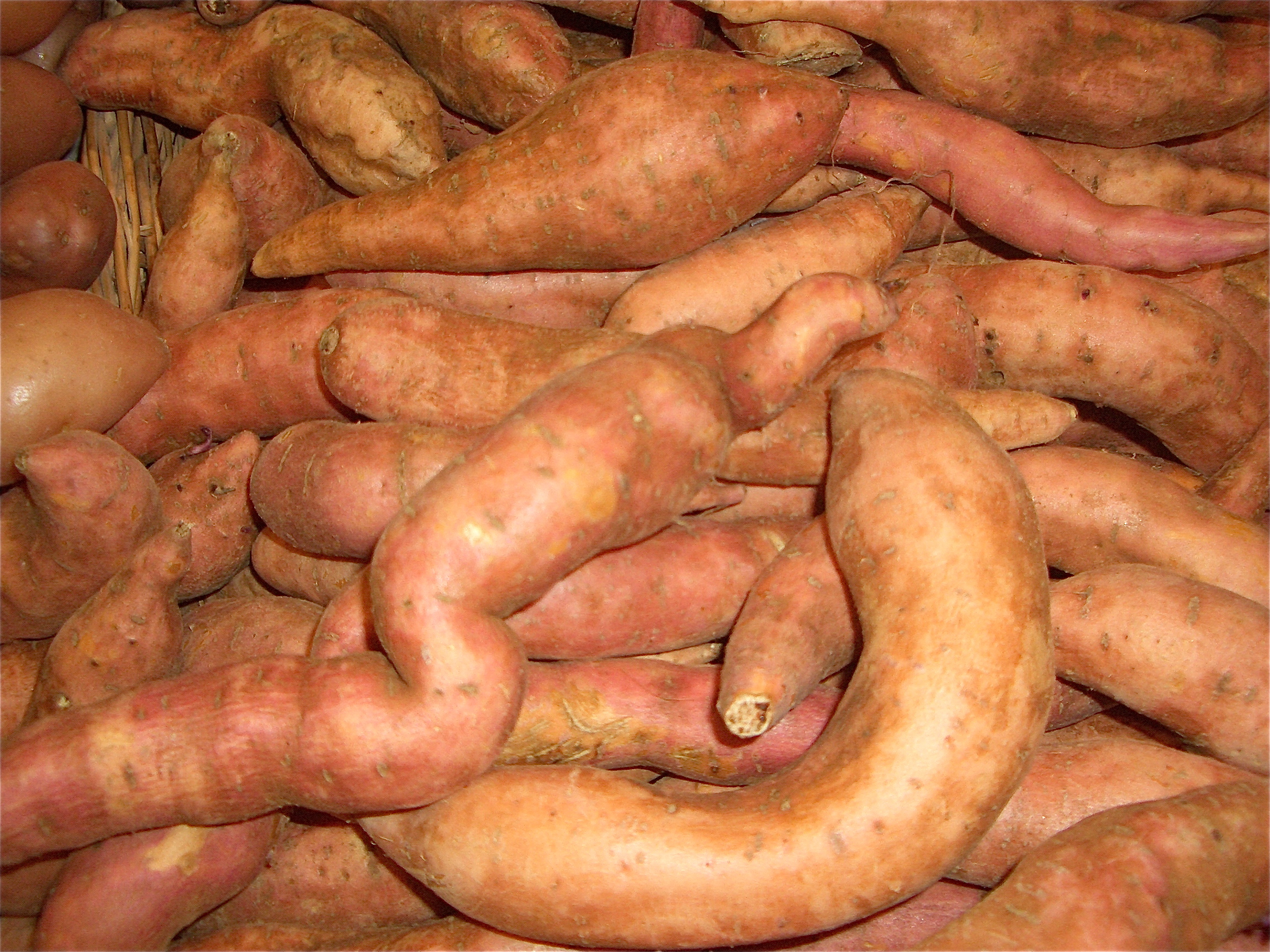 Sweet Potatoes: Beta-Carotene for Immunity (image credits: wikimedia)