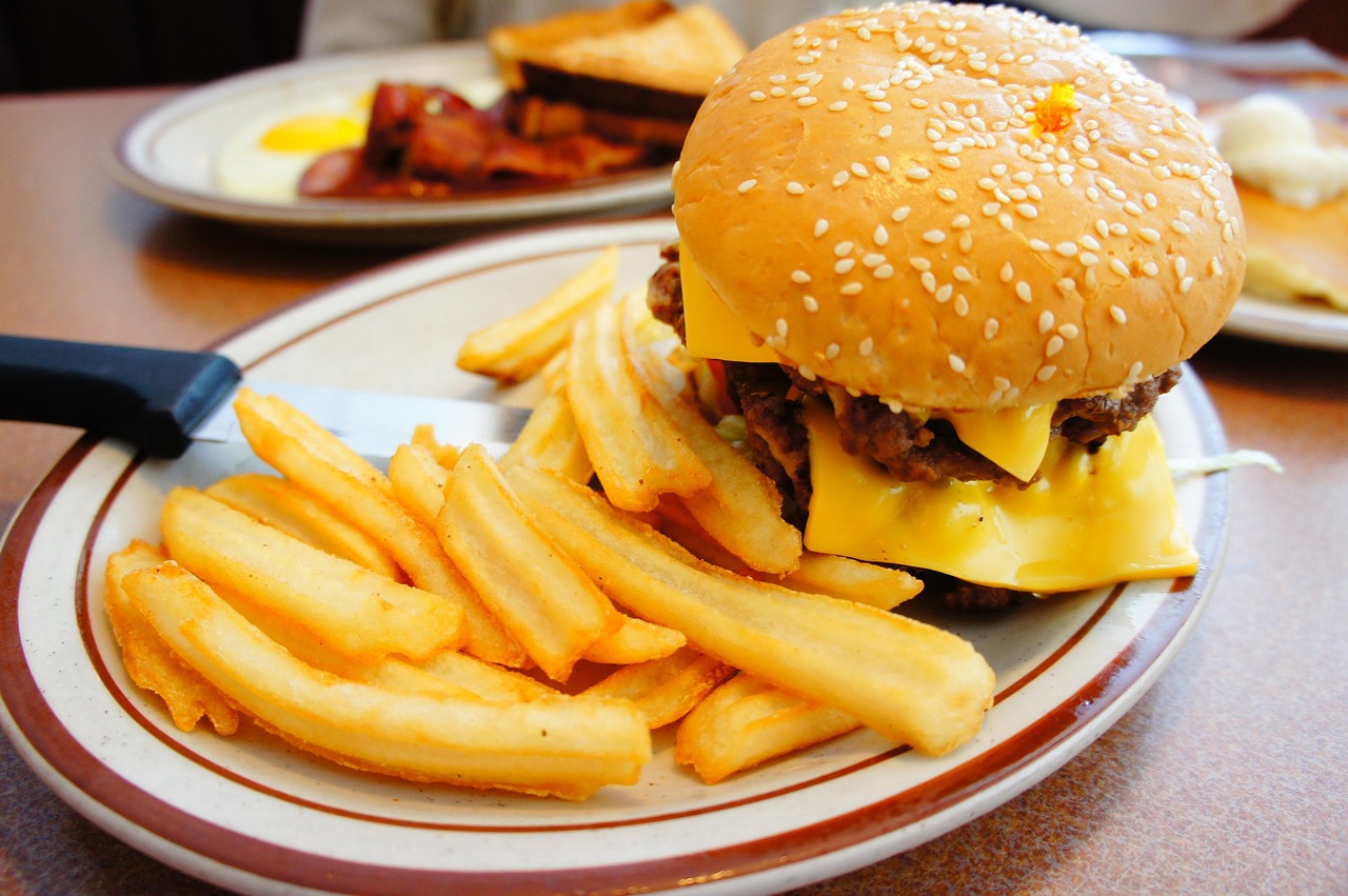 Burger King - The Inconsistent Crown (image credits: pixabay)