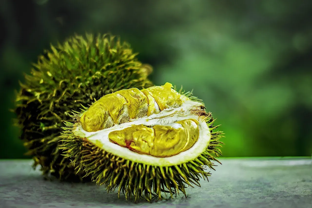 Durian: The Fruit Banned from Public Transportation (Image Credits: Pixabay)