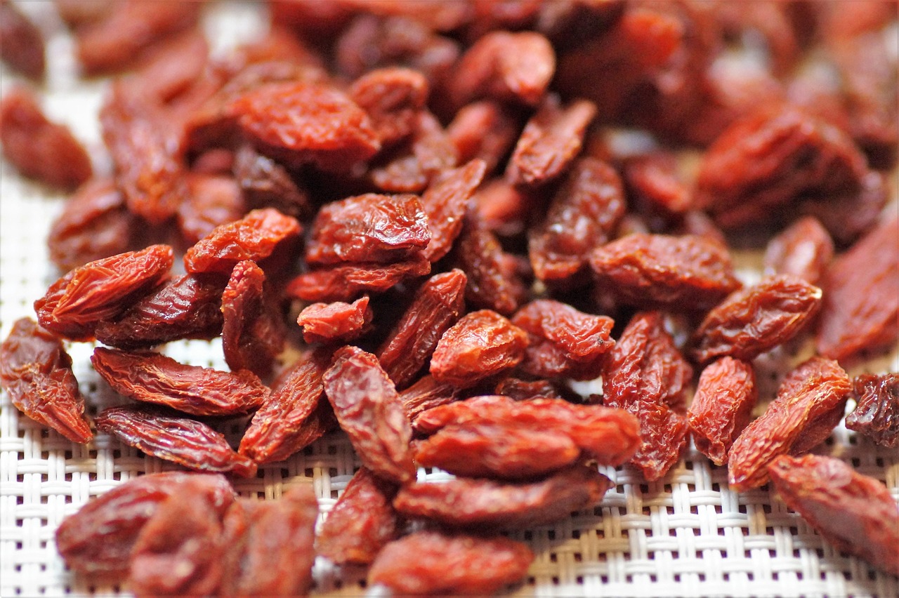 Goji Berries: The Ancient Secret (image credits: pixabay)