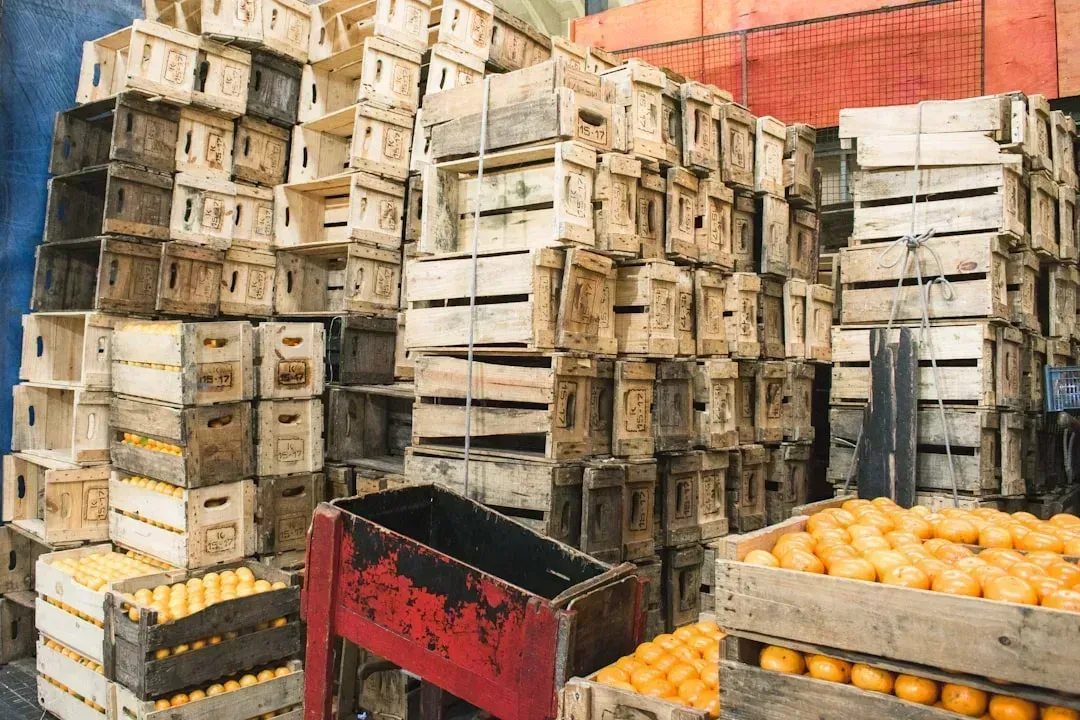 3. Geopolitical Instability and Export Restrictions Are Quietly Reshaping Global Food Access (Image Credits: Unsplash)