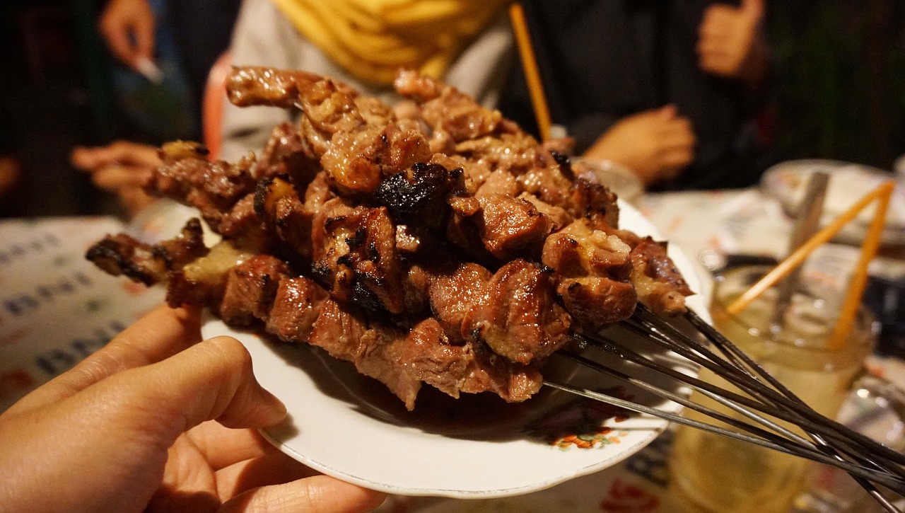 Indonesian Satay: Southeast Asian Skewer Mastery (image credits: pixabay)