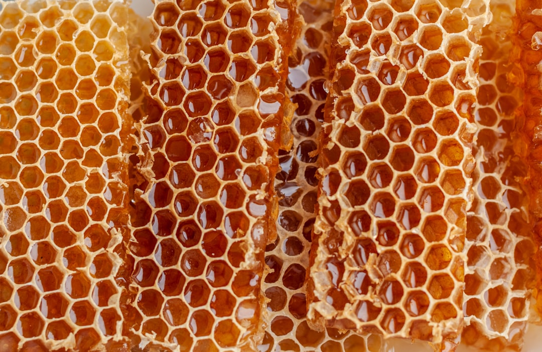 Honey and Microplastic Presence (image credits: unsplash)