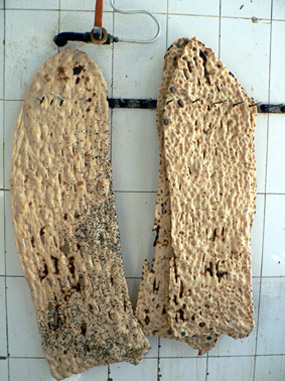 Whole Wheat and Ancient Grain Bases (image credits: wikimedia)