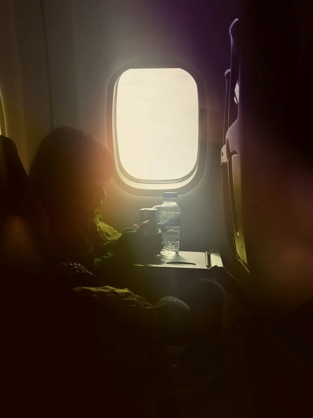 11. They Never Eat Noisily or Draw Attention to Themselves While Eating (Image Credits: Unsplash)