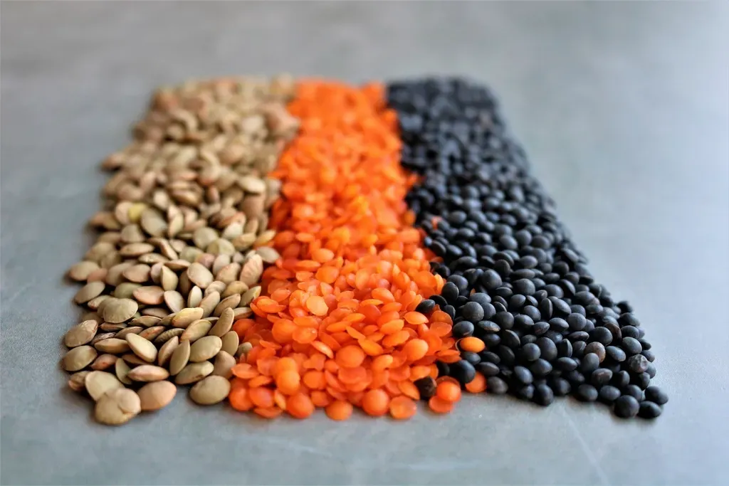 Lentils and Beans: Plant-Based Protein That Won't Break the Bank (Image Credits: Rawpixel)