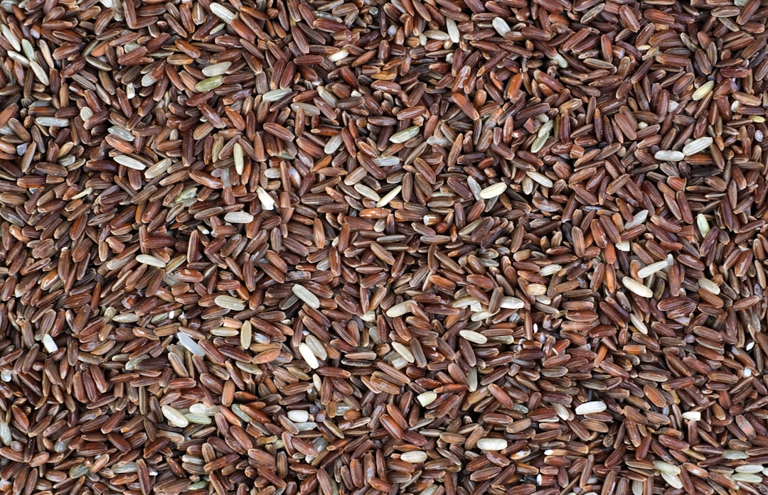 Hemp Seeds - The Tiny Zinc Powerhouses (image credits: unsplash)