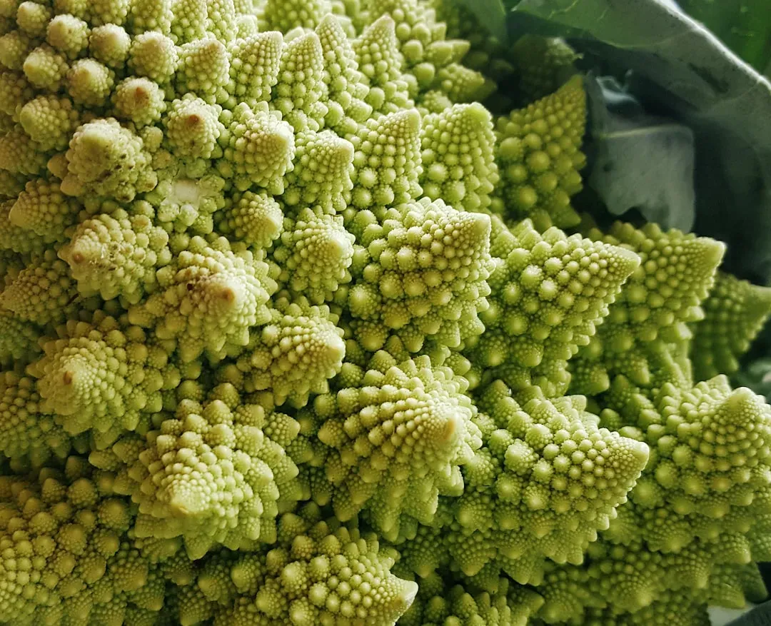 Romanesco: Nature's Mathematical Marvel (Image Credits: Unsplash)