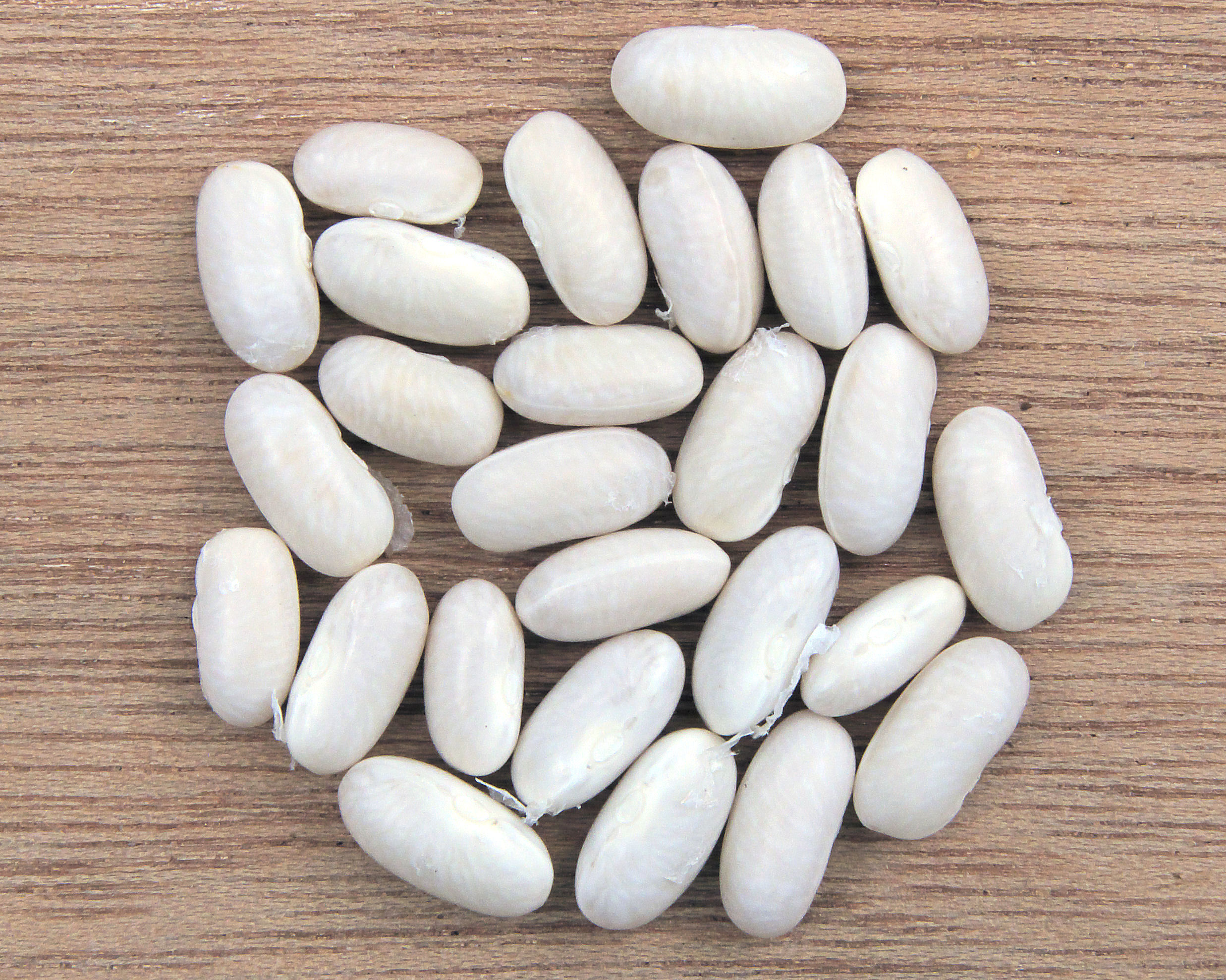 White Beans: The Mineral Powerhouse (image credits: wikimedia)