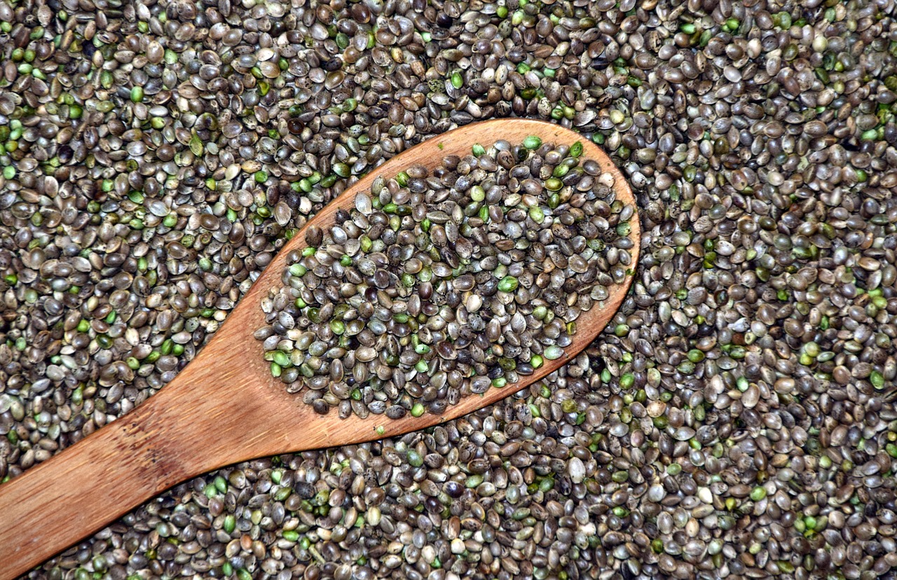 Hemp Seeds: Balanced Beauty from Nature (image credits: pixabay)