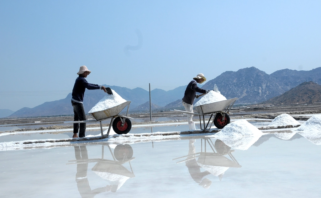 The Health Benefits of Sea Salt (image credits: rawpixel)