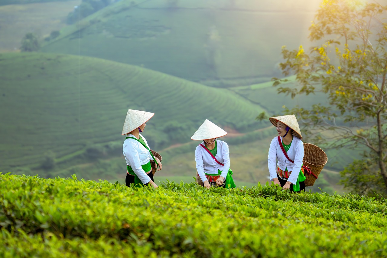 Impact on Small Farmers (image credits: pixabay)