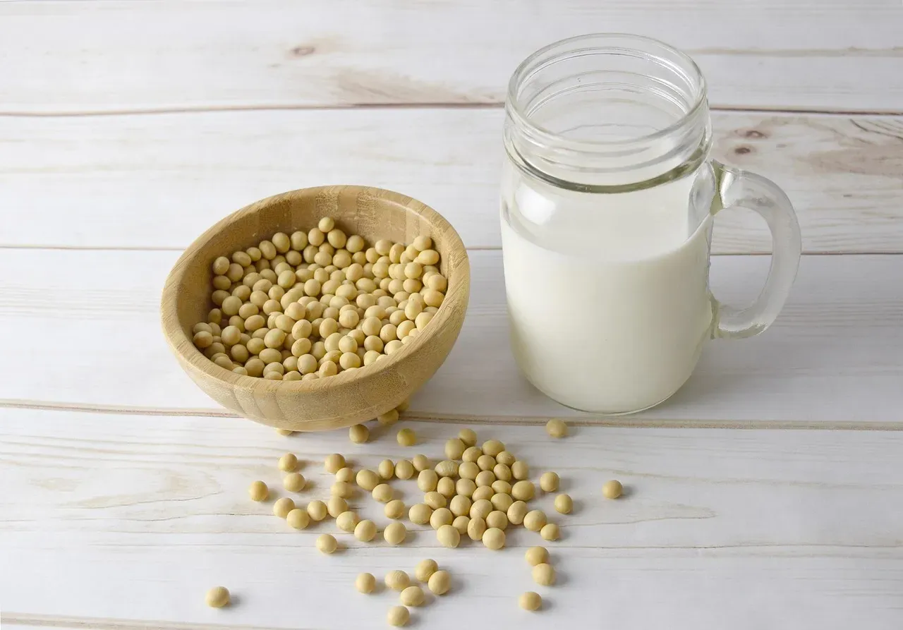 Soy Milk: The Nutritious Choice That Ferments in Your Gut (Image Credits: Pixabay)