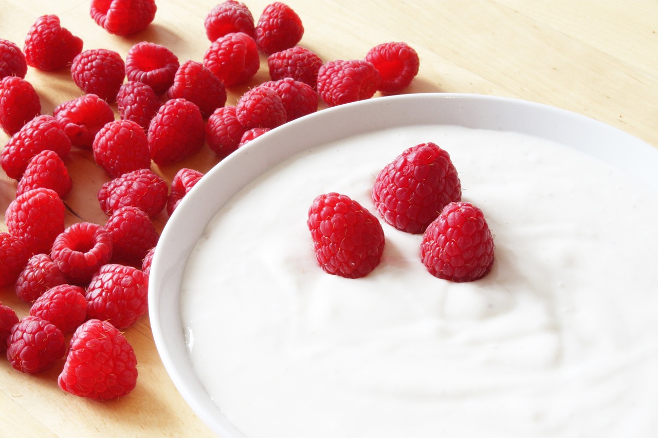 2. Greek Yogurt: The Protein Powerhouse (image credits: pixabay)