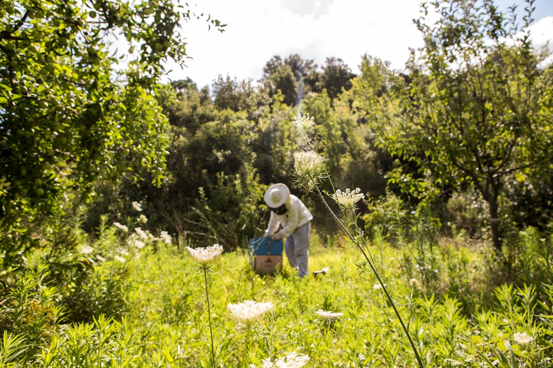 Environmental & Ethical Considerations (image credits: unsplash)