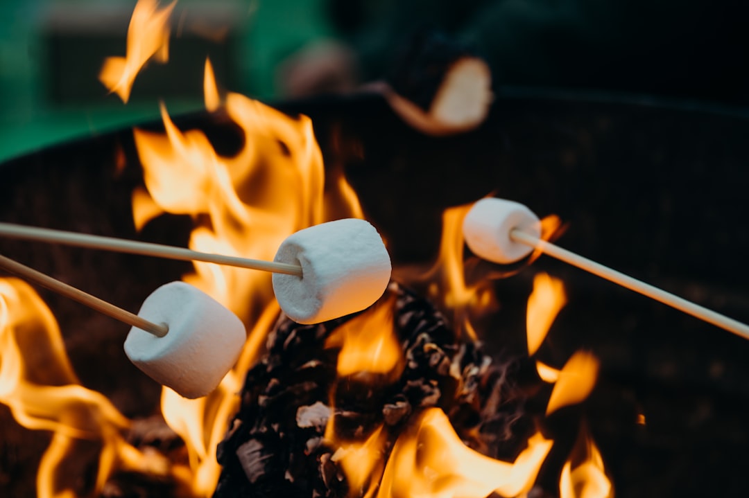 Campfire Mules with Roasted Marshmallow Garnish (image credits: unsplash)