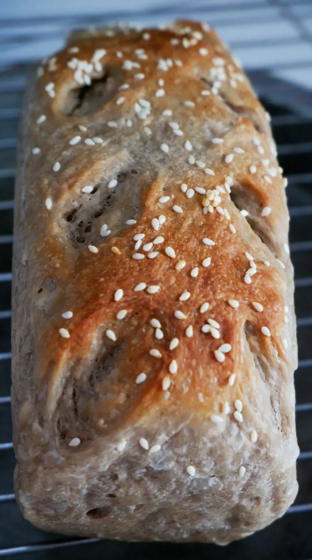 Why Your Homemade Bread Goes Bad So Fast (Image Credits: Unsplash)