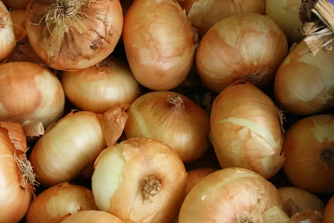 Onions: Moisture is the Enemy (Image Credits: Unsplash)