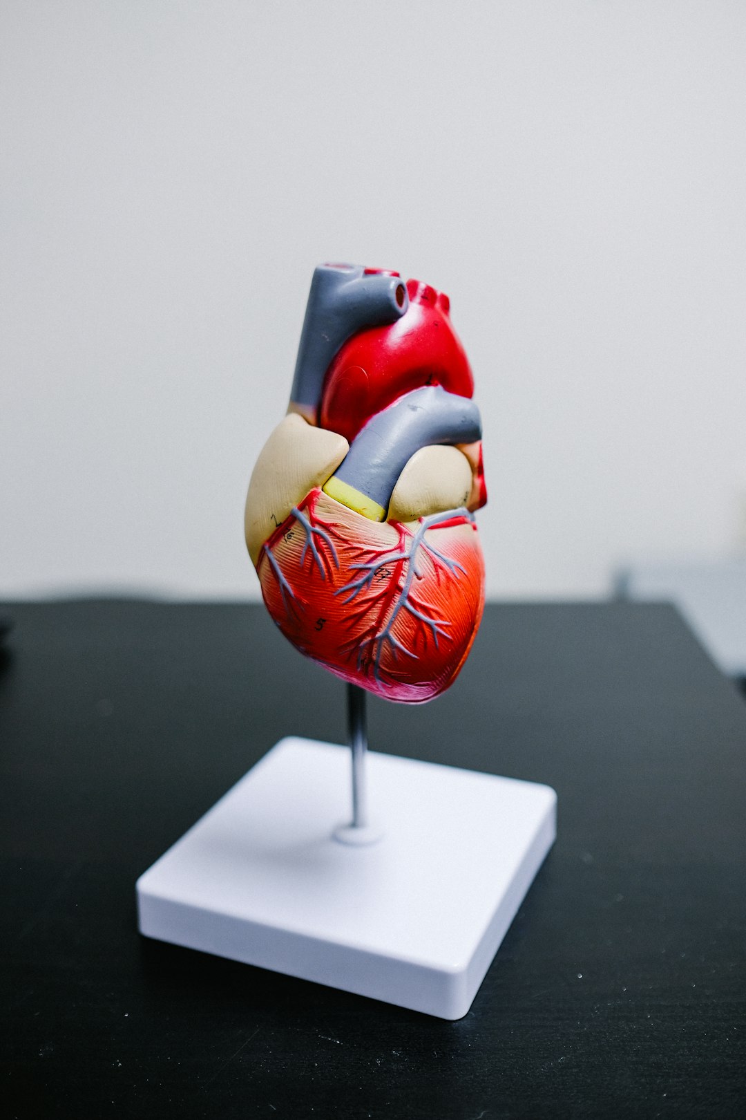 Your Heart Becomes a Target (image credits: unsplash)