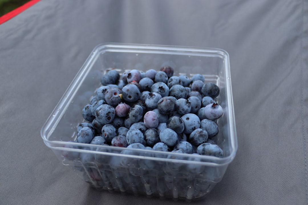 Blueberries Pack a Powerful Punch Against Cognitive Decline (image credits: unsplash)