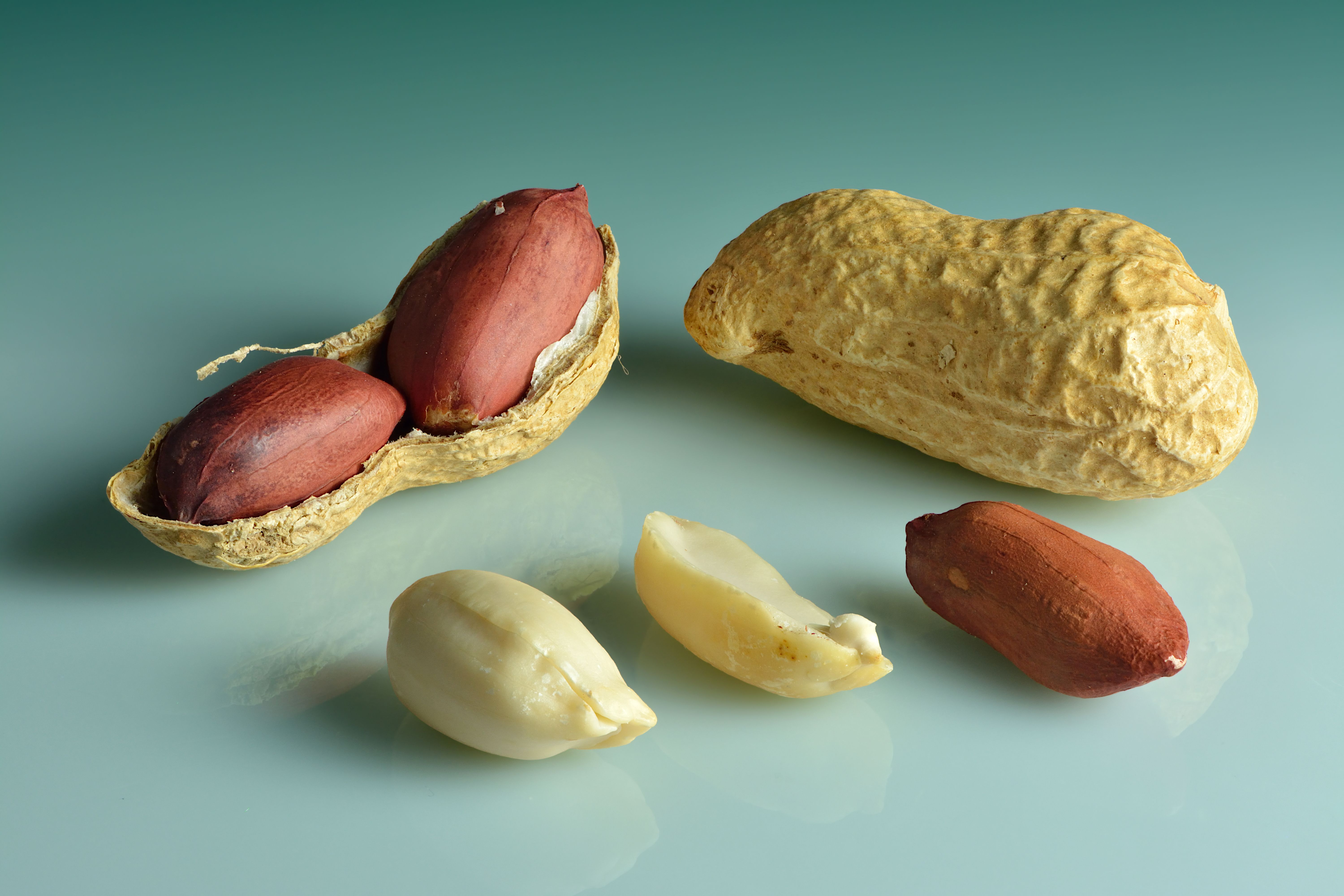 7. Peanuts - The Protein Powerhouses (That Aren't Really Nuts) (image credits: wikimedia)