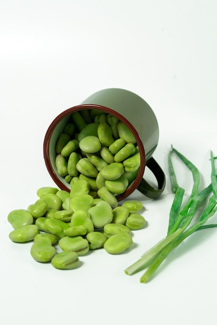 The Creamy Contender: Fava Beans - Europe's Fiber Champion (image credits: pixabay)
