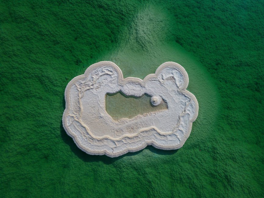 The Sodium-Potassium Balance (image credits: pexels)