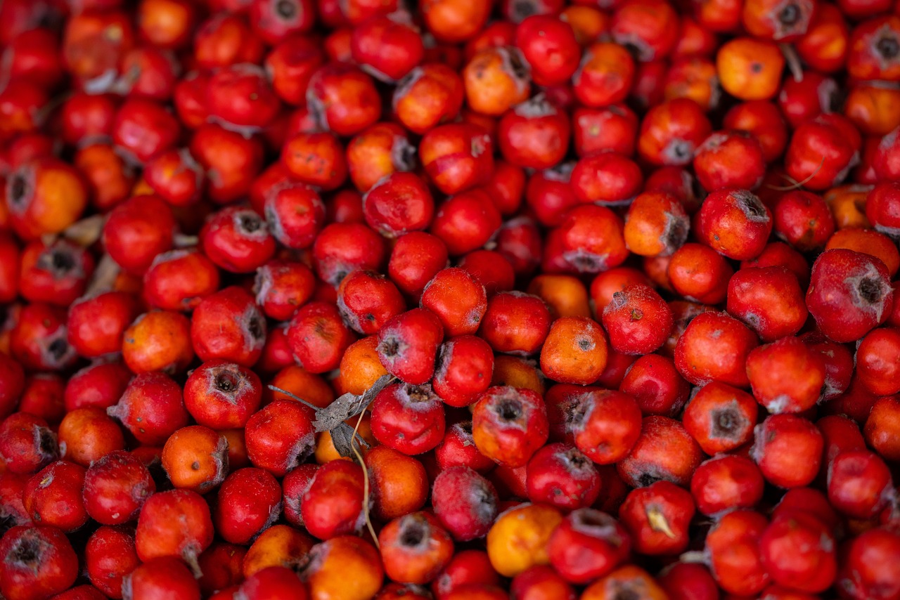 Hawthorn Berry (The Heart Herb) (image credits: pixabay)