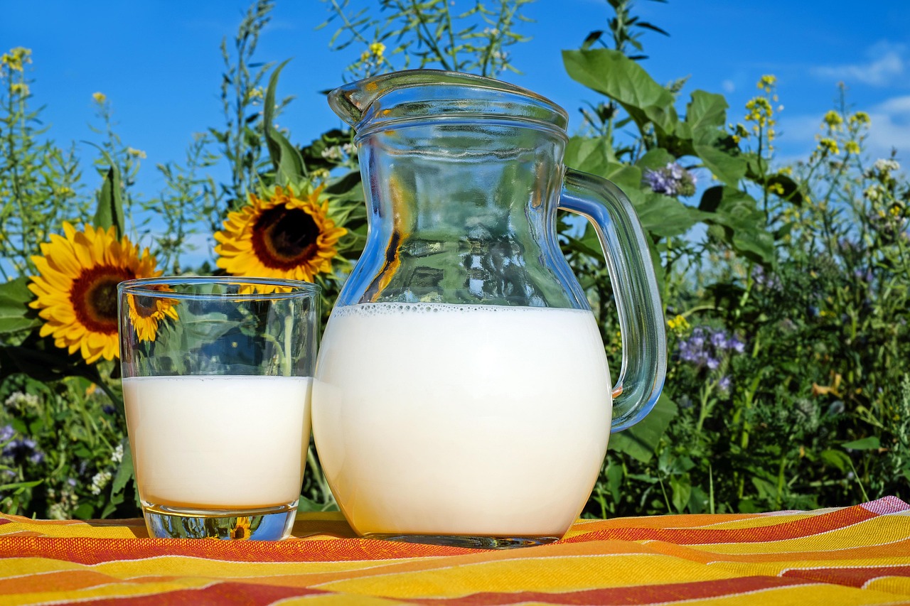 13. Dairy (image credits: pixabay)