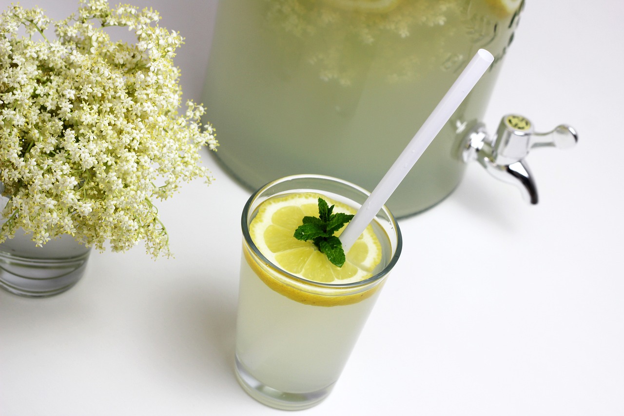 Elderberry Syrup for Colds (image credits: pixabay)