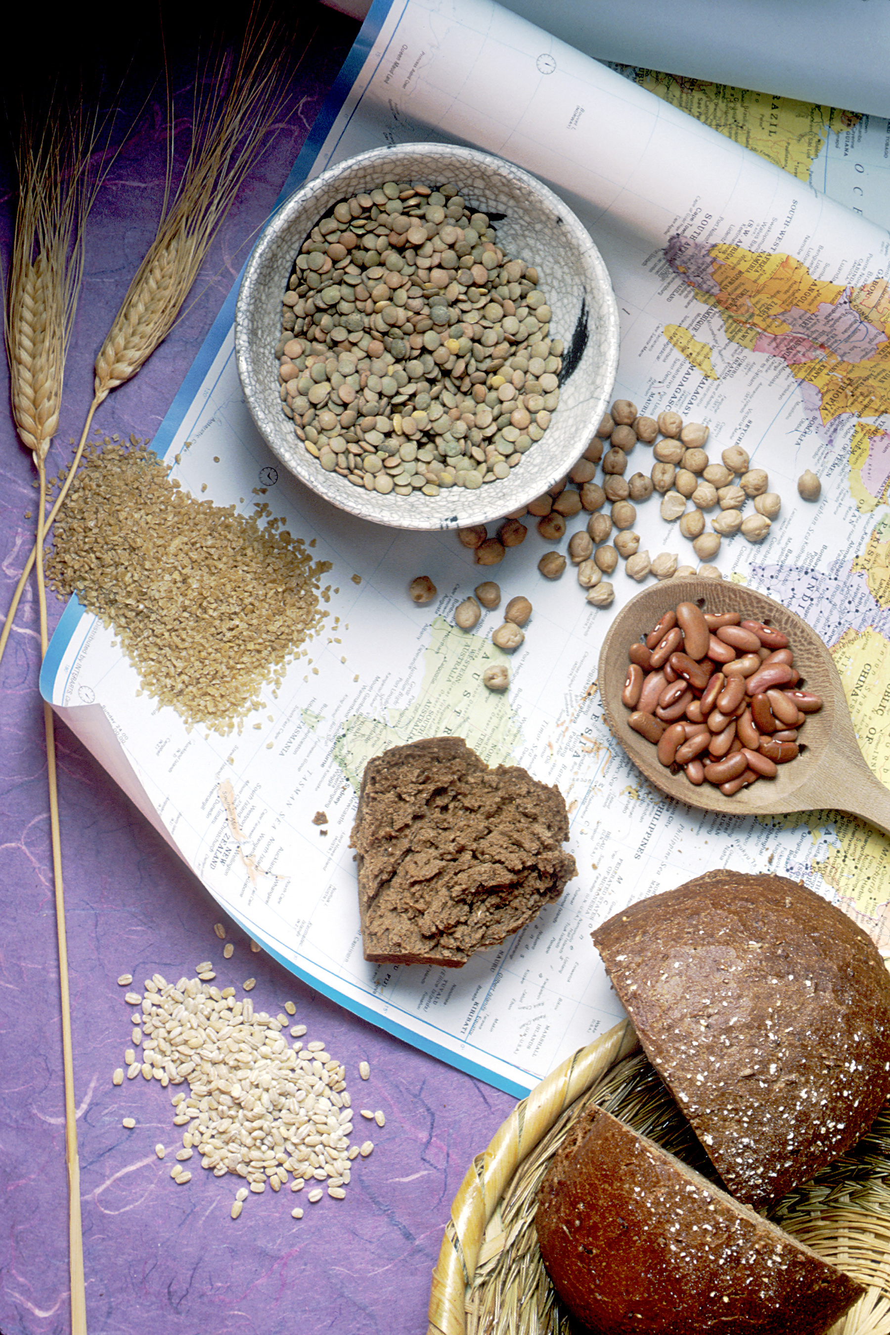 Legumes: More Than Just Protein (image credits: wikimedia)
