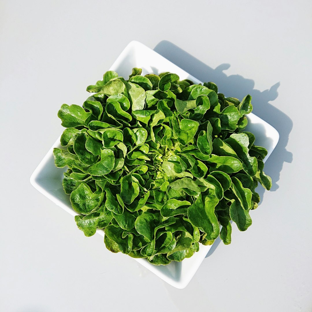 Why Your Greens Are Dying Faster Than They Should (image credits: Gallery Image)
