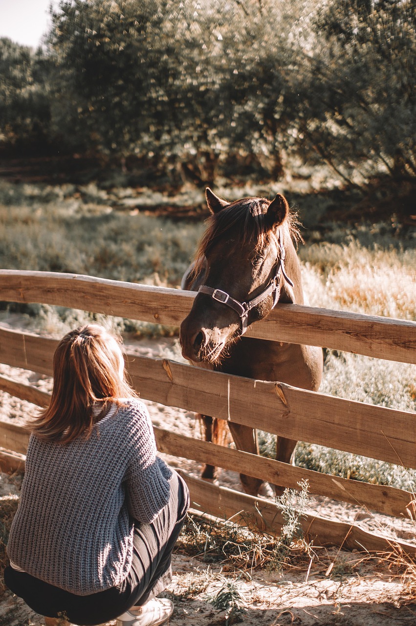 Ranch (image credits: pixabay)