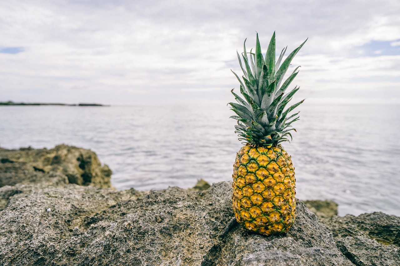 Pineapple: A Tropical Treat (image credits: pixabay)