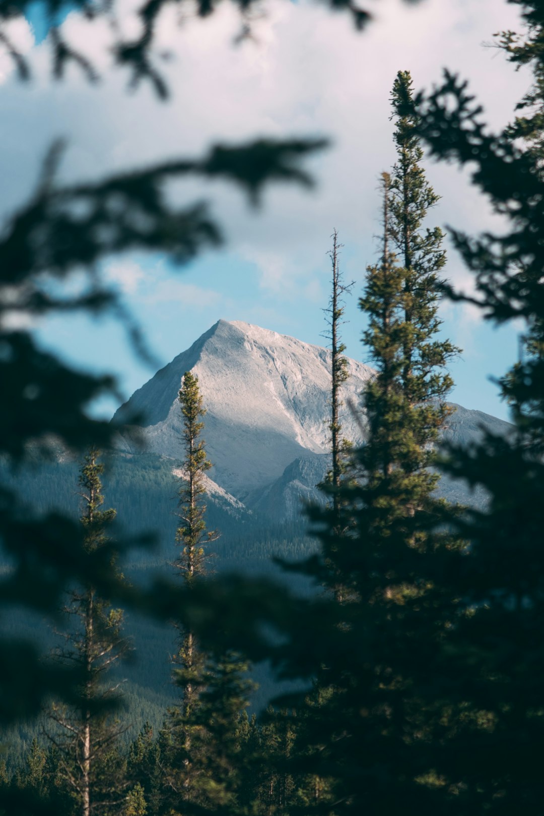 Banff, Alberta - When Paradise Becomes Parking Lot (image credits: unsplash)