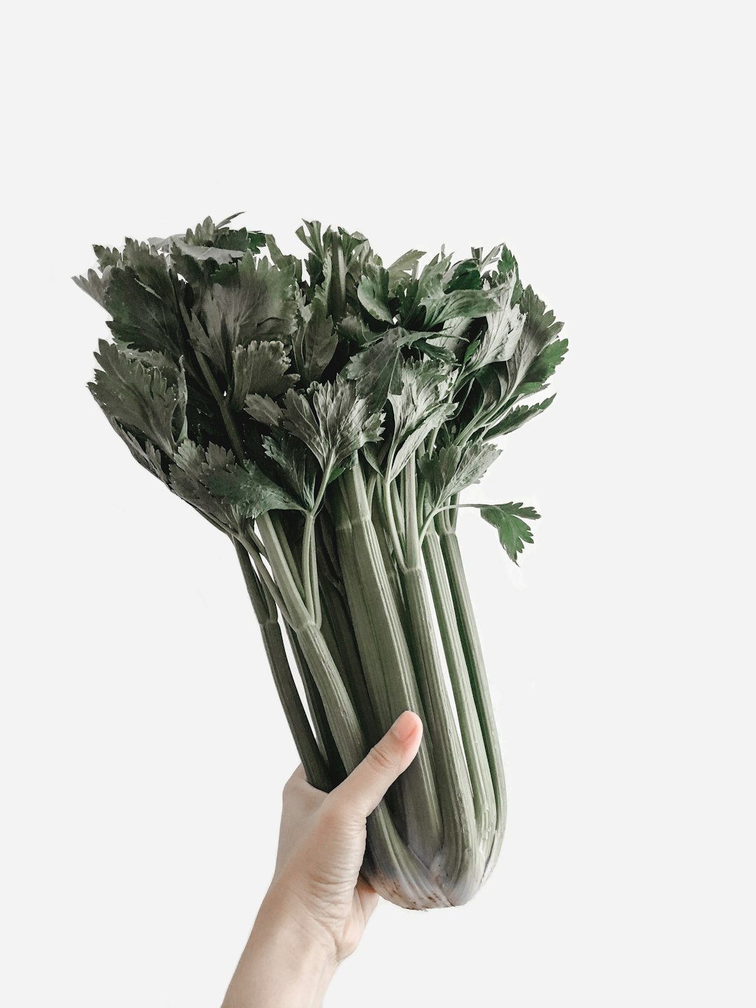 Celery: The Unsung Hydration Powerhouse (image credits: unsplash)