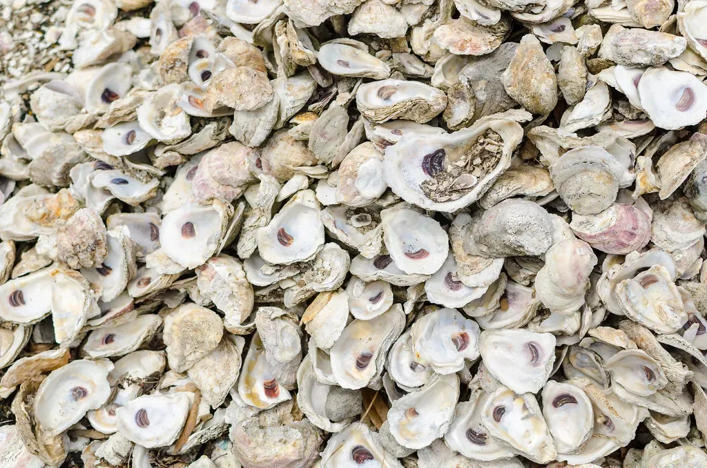 Seafood and Fish Waste (Image Credits: Flickr)