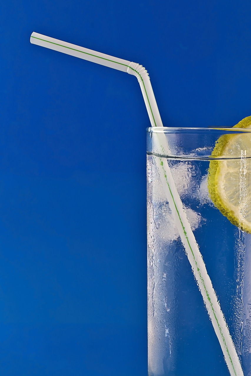 Single-Use Straws (image credits: pixabay)