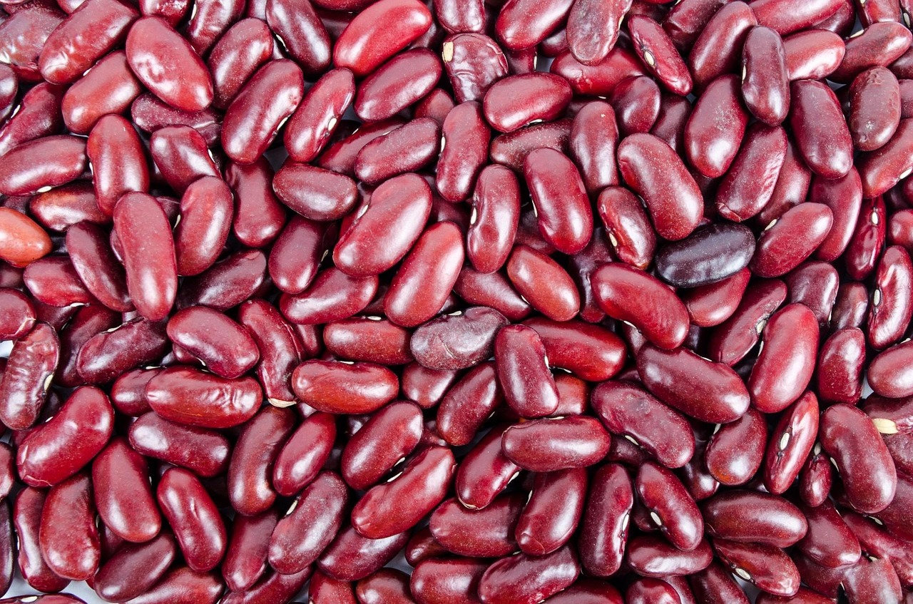 Raw or Dried Kidney Beans Can Poison You (Image Credits: Pixabay)